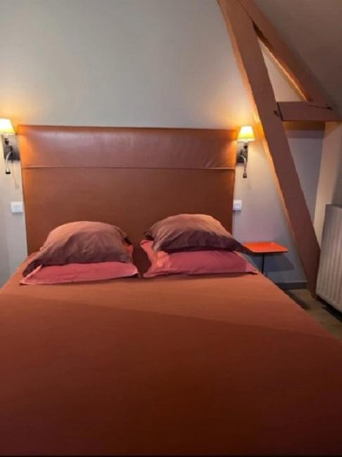 La Demeure De L'Ile Bed and Breakfast Craon  Buitenkant foto